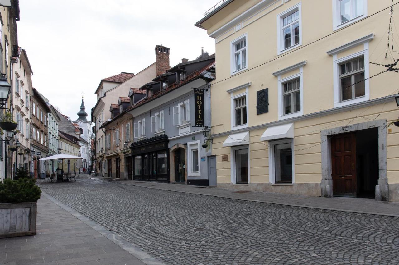 Bright & Spacious Loft In The Heart Of Old Town Ljubljana Buitenkant foto